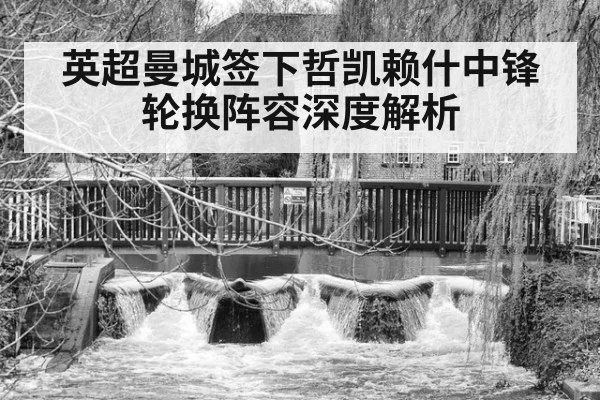 英超曼城签下哲凯赖什中锋轮换阵容深度解析
