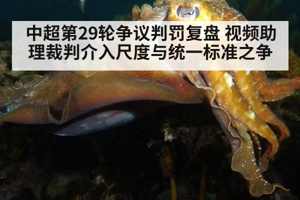 中超第29轮争议判罚复盘 视频助理裁判介入尺度与统一标准之争